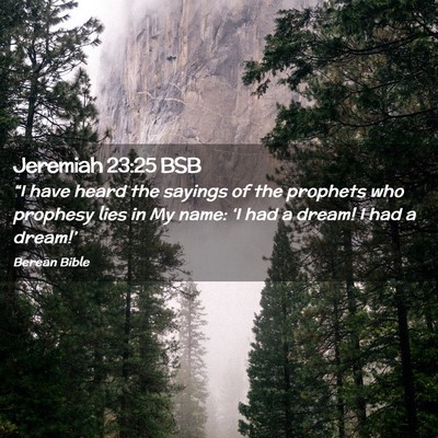 Picture 02 - Jeremiah 23:25 BSB - “I have heard the sayings of the prophets who - Bible Verse Picture