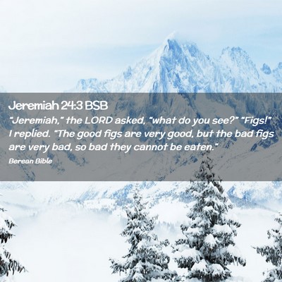 Picture 02 - Jeremiah 24:3 BSB - “Jeremiah,” the LORD asked, “what do you - Bible Verse Picture