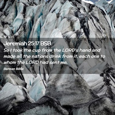 Picture 02 - Jeremiah 25:17 BSB - So I took the cup from the LORD’s hand and made - Bible Verse Picture