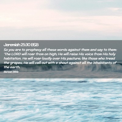 Picture 02 - Jeremiah 25:30 BSB - So you are to prophesy all these words against - Bible Verse Picture