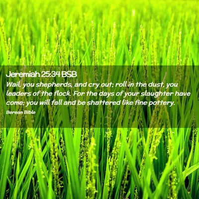 Picture 02 - Jeremiah 25:34 BSB - Wail, you shepherds, and cry out; roll in the - Bible Verse Picture
