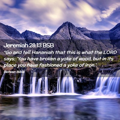 Picture 02 - Jeremiah 28:13 BSB - “Go and tell Hananiah that this is what the - Bible Verse Picture