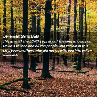 Picture 02 - Jeremiah 29:16 BSB - this is what the LORD says about the king who - Bible Verse Picture