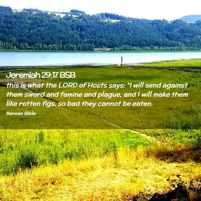 Picture 02 - Jeremiah 29:17 BSB - this is what the LORD of Hosts says: “I will - Bible Verse Picture