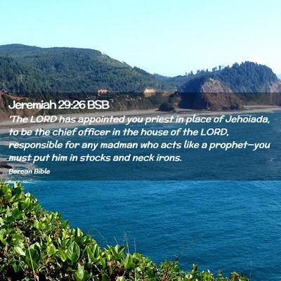 Picture 02 - Jeremiah 29:26 BSB - ‘The LORD has appointed you priest in place of - Bible Verse Picture