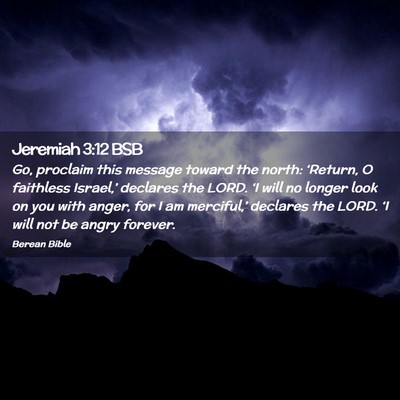 Picture 02 - Jeremiah 3:12 BSB - Go, proclaim this message toward the north: - Bible Verse Picture