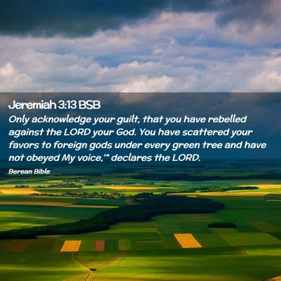 Picture 02 - Jeremiah 3:13 BSB - Only acknowledge your guilt, that you have - Bible Verse Picture