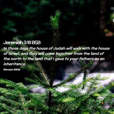 Picture 02 - Jeremiah 3:18 BSB - In those days the house of Judah will walk with - Bible Verse Picture