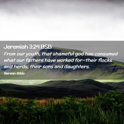 Picture 02 - Jeremiah 3:24 BSB - From our youth, that shameful god has consumed - Bible Verse Picture