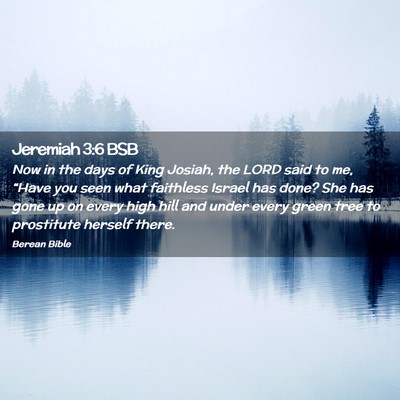 Picture 02 - Jeremiah 3:6 BSB - Now in the days of King Josiah, the LORD said to - Bible Verse Picture