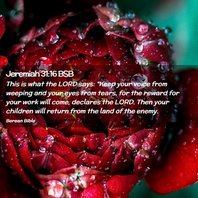 Picture 02 - Jeremiah 31:16 BSB - This is what the LORD says: “Keep your voice - Bible Verse Picture