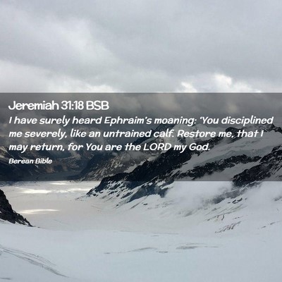 Picture 02 - Jeremiah 31:18 BSB - I have surely heard Ephraim’s moaning: ‘You - Bible Verse Picture