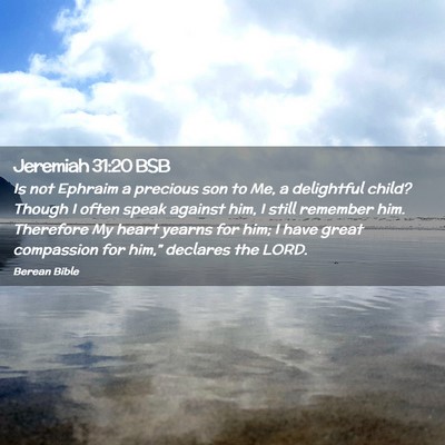 Picture 02 - Jeremiah 31:20 BSB - Is not Ephraim a precious son to Me, a delightful - Bible Verse Picture