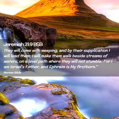 Picture 02 - Jeremiah 31:9 BSB - They will come with weeping, and by their - Bible Verse Picture