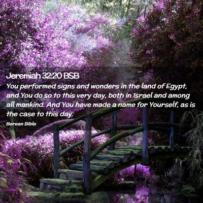Picture 02 - Jeremiah 32:20 BSB - You performed signs and wonders in the land of - Bible Verse Picture
