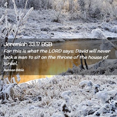 Picture 02 - Jeremiah 33:17 BSB - For this is what the LORD says: David will never - Bible Verse Picture
