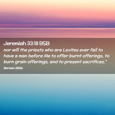Picture 02 - Jeremiah 33:18 BSB - nor will the priests who are Levites ever fail to - Bible Verse Picture