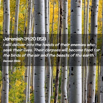 Picture 02 - Jeremiah 34:20 BSB - I will deliver into the hands of their enemies - Bible Verse Picture