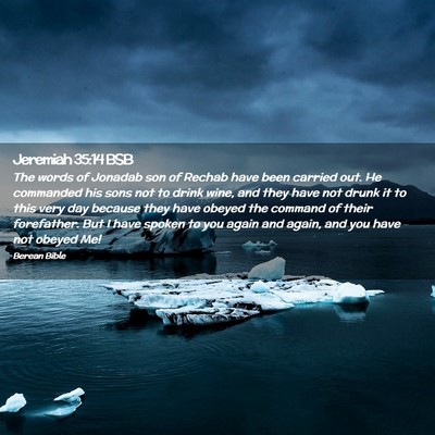 Picture 02 - Jeremiah 35:14 BSB - The words of Jonadab son of Rechab have been - Bible Verse Picture
