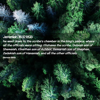 Picture 02 - Jeremiah 36:12 BSB - he went down to the scribe’s chamber in the - Bible Verse Picture