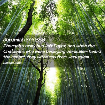 Picture 02 - Jeremiah 37:5 BSB - Pharaoh’s army had left Egypt, and when the - Bible Verse Picture