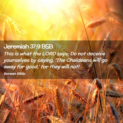 Picture 02 - Jeremiah 37:9 BSB - This is what the LORD says: Do not deceive - Bible Verse Picture