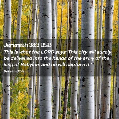 Picture 02 - Jeremiah 38:3 BSB - This is what the LORD says: This city will surely - Bible Verse Picture