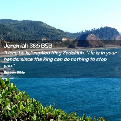 Picture 02 - Jeremiah 38:5 BSB - “Here he is,” replied King Zedekiah. “He is - Bible Verse Picture