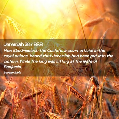 Picture 02 - Jeremiah 38:7 BSB - Now Ebed-melech the Cushite, a court official in - Bible Verse Picture