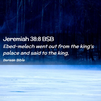 Picture 02 - Jeremiah 38:8 BSB - Ebed-melech went out from the king’s palace and - Bible Verse Picture