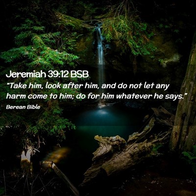 Picture 02 - Jeremiah 39:12 BSB - “Take him, look after him, and do not let any - Bible Verse Picture