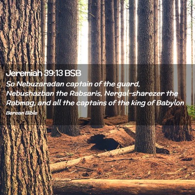 Picture 02 - Jeremiah 39:13 BSB - So Nebuzaradan captain of the guard, Nebushazban - Bible Verse Picture