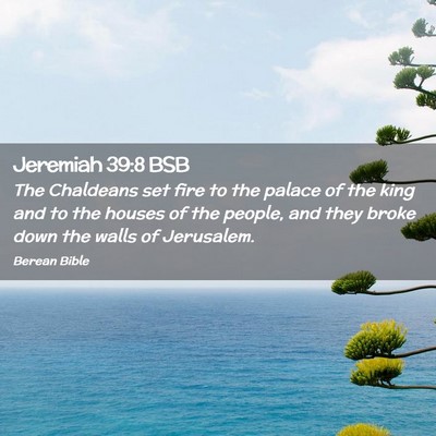 Picture 02 - Jeremiah 39:8 BSB - The Chaldeans set fire to the palace of the king - Bible Verse Picture