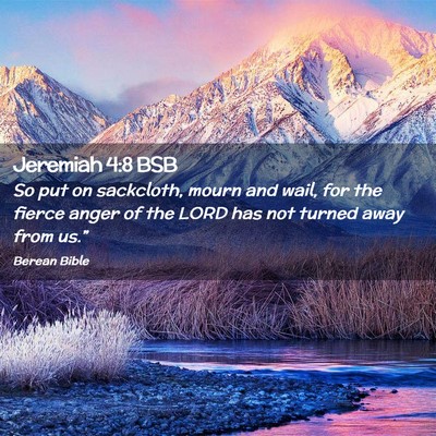 Picture 02 - Jeremiah 4:8 BSB - So put on sackcloth, mourn and wail, for the - Bible Verse Picture