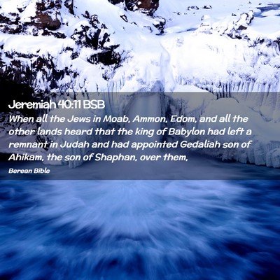 Picture 02 - Jeremiah 40:11 BSB - When all the Jews in Moab, Ammon, Edom, and all - Bible Verse Picture