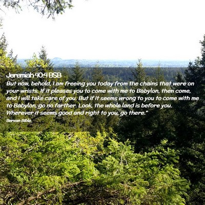 Picture 02 - Jeremiah 40:4 BSB - But now, behold, I am freeing you today from the - Bible Verse Picture