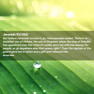 Picture 02 - Jeremiah 40:5 BSB - But before Jeremiah turned to go, Nebuzaradan - Bible Verse Picture