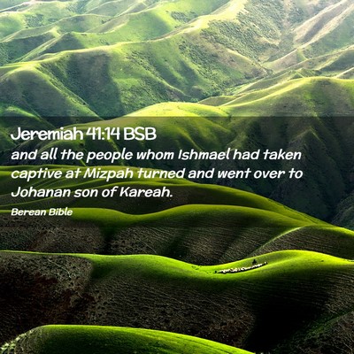 Picture 02 - Jeremiah 41:14 BSB - and all the people whom Ishmael had taken captive - Bible Verse Picture
