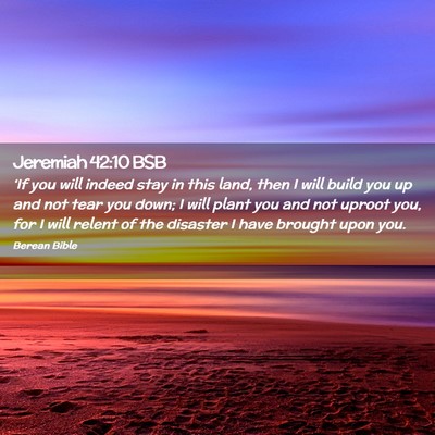 Picture 02 - Jeremiah 42:10 BSB - ‘If you will indeed stay in this land, then I - Bible Verse Picture