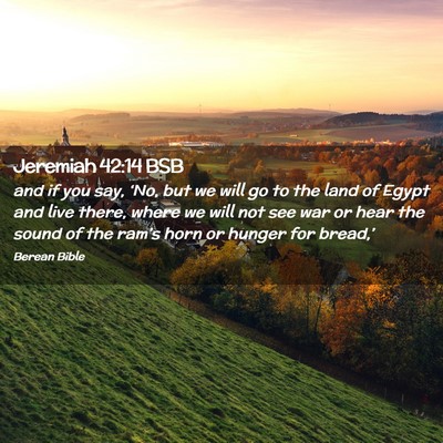 Picture 02 - Jeremiah 42:14 BSB - and if you say, ‘No, but we will go to the land - Bible Verse Picture