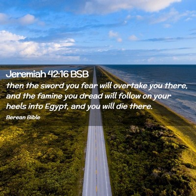 Picture 02 - Jeremiah 42:16 BSB - then the sword you fear will overtake you there, - Bible Verse Picture