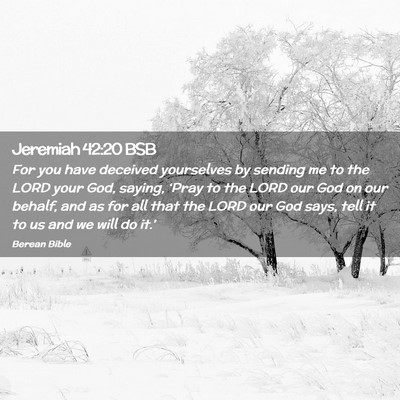 Picture 02 - Jeremiah 42:20 BSB - For you have deceived yourselves by sending me to - Bible Verse Picture