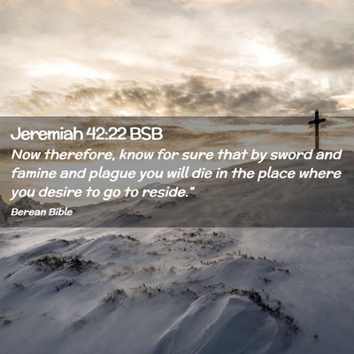 Picture 02 - Jeremiah 42:22 BSB - Now therefore, know for sure that by sword and - Bible Verse Picture