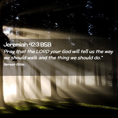 Picture 02 - Jeremiah 42:3 BSB - Pray that the LORD your God will tell us the way - Bible Verse Picture