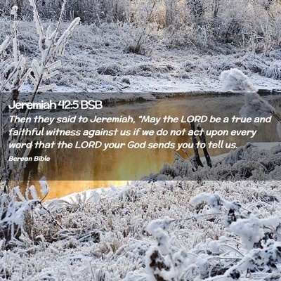 Picture 02 - Jeremiah 42:5 BSB - Then they said to Jeremiah, “May the LORD be a - Bible Verse Picture