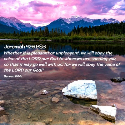 Picture 02 - Jeremiah 42:6 BSB - Whether it is pleasant or unpleasant, we will - Bible Verse Picture