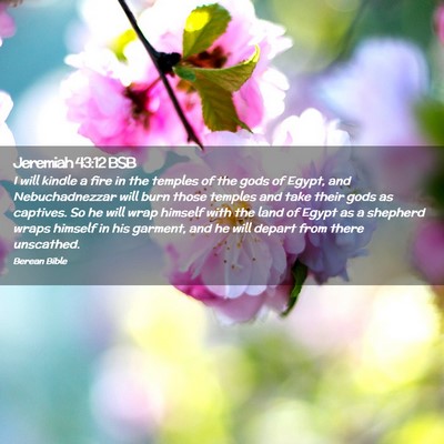 Picture 02 - Jeremiah 43:12 BSB - I will kindle a fire in the temples of the gods - Bible Verse Picture