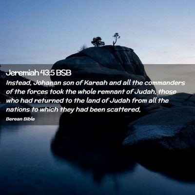 Picture 02 - Jeremiah 43:5 BSB - Instead, Johanan son of Kareah and all the - Bible Verse Picture