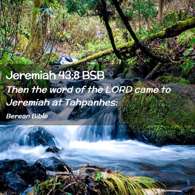 Picture 02 - Jeremiah 43:8 BSB - Then the word of the LORD came to Jeremiah at - Bible Verse Picture