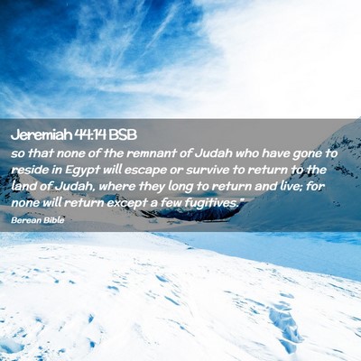Picture 02 - Jeremiah 44:14 BSB - so that none of the remnant of Judah who have - Bible Verse Picture